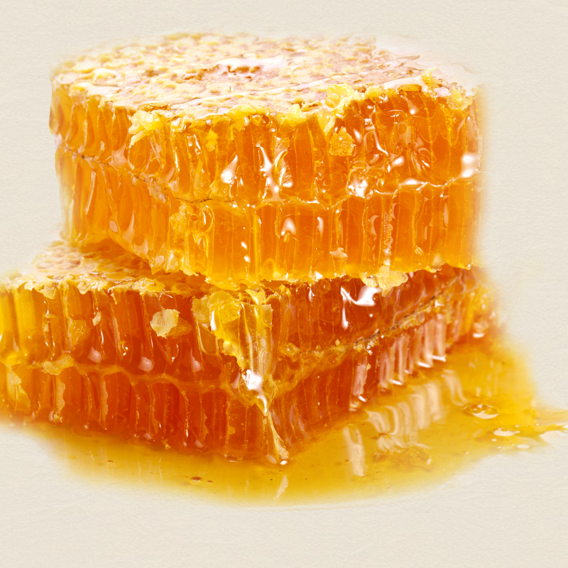 강릉팜,우리들 천연 야생화꿀 2.4kg 100% 자연꿀 천연꿀 잡화꿀 산지직송