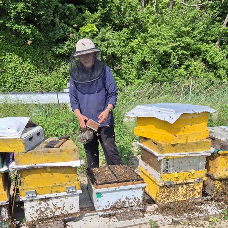 강릉팜,우리들 천연 야생화꿀 2.4kg 100% 자연꿀 천연꿀 잡화꿀 산지직송