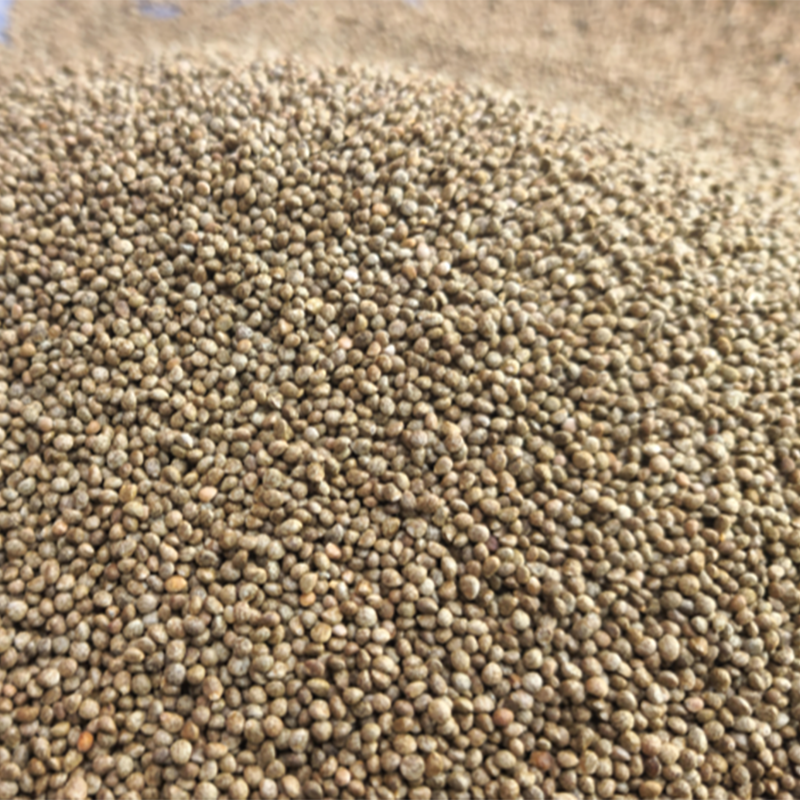 강릉팜,하슬라 들기름 저온압착 강릉 직접 재배 고소한 국내산들기름 300ml