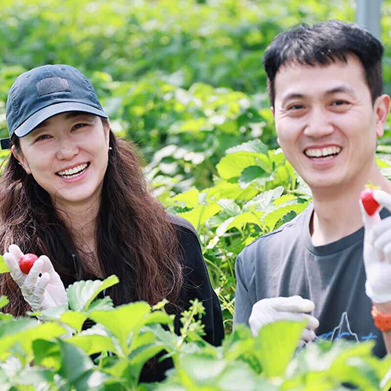 강릉팜,우주딸기 농장에서 직접 만든 수제 딸기잼 300g 딸기함량 80% 맛있는 엄마표 우주딸기