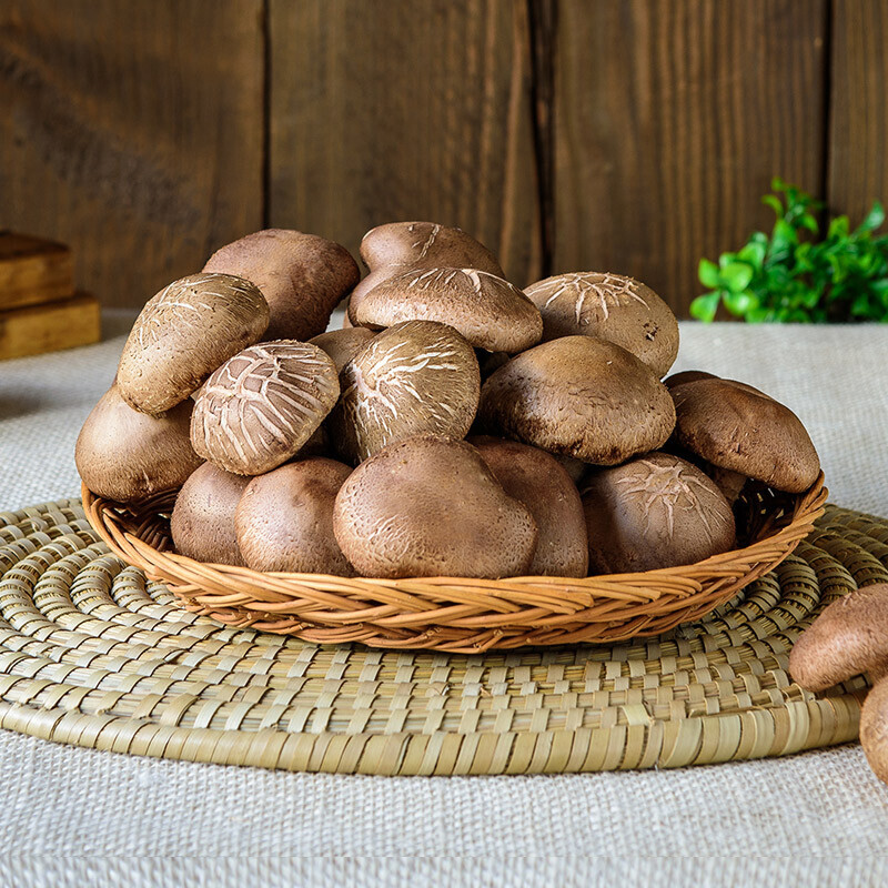 강릉팜,광표고 말린 표고버섯 무농약 친환경 건표고버섯 180g 상품 * 3개