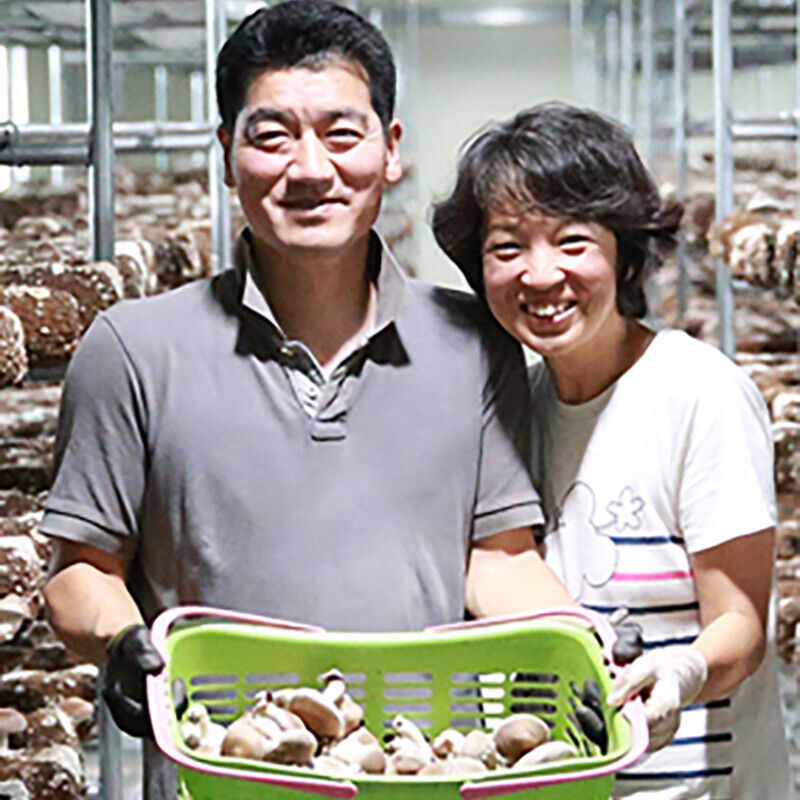 강릉팜,광표고 말린 표고버섯 무농약 친환경 건표고버섯 180g 상품 * 3개