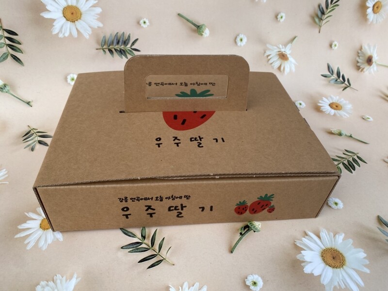 강릉팜,우주[예약판매/2월5일부터 순차배송]농장 직배송 강릉 우주딸기농장 고당도 설향딸기 800g이상x2box(30-35구 랜덤발송) GAP 인증 당일수확 딸기선물세트