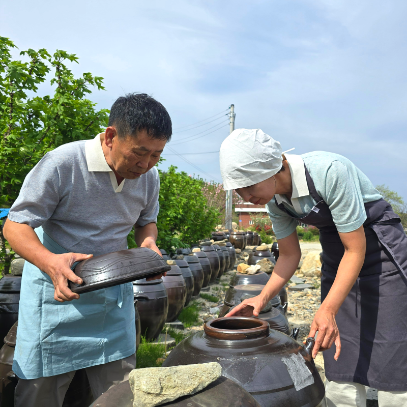강릉팜,하슬라 자연발효 식초 흑초 500ml 4종 감식초 약콩엉겅퀴 초란 산사보리