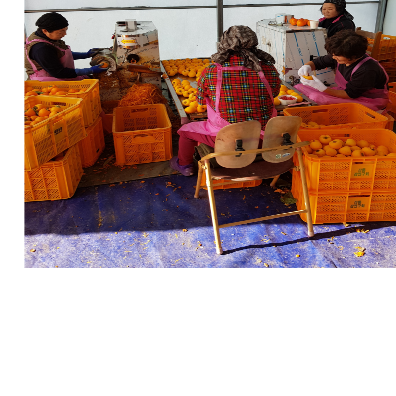 강릉팜,[강릉곶감 우리들농원]간식용1호 곶감(총중 량2kg 25g70개,30g60개말랑한곶감 한입에쏙)