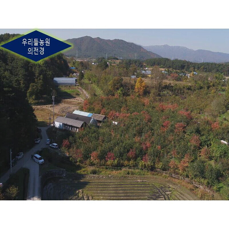 강릉팜,[강릉곶감 우리들농원]간식용1호 곶감(총중 량2kg 25g70개,30g60개말랑한곶감 한입에쏙)