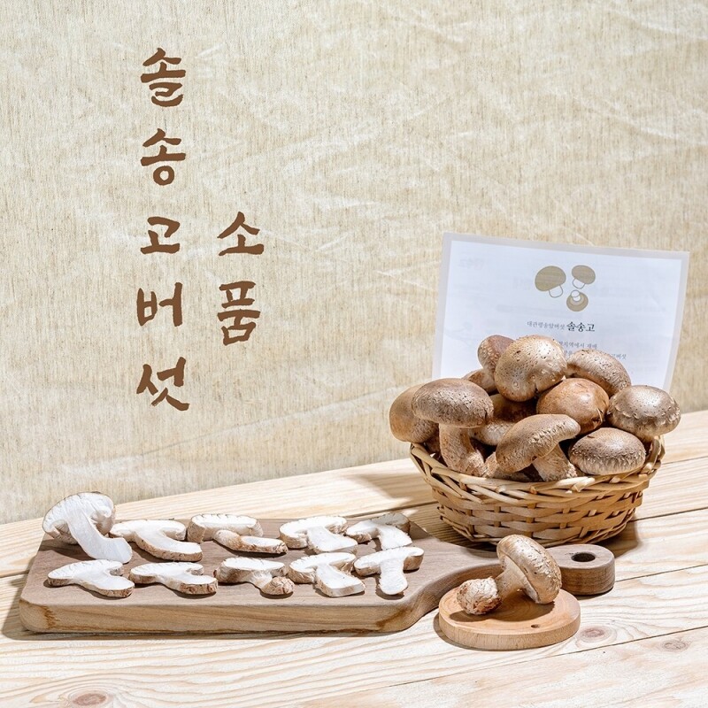 강릉팜,[강릉표고버섯농장]솔송고 무농약 쫄깃한 송이향 표고버섯 친환경 2Kg 소품