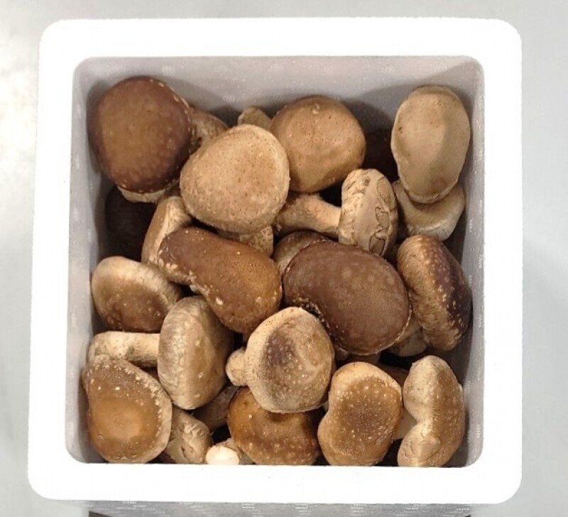 강릉팜,[강릉표고버섯농장]솔송고 무농약 쫄깃한 송이향 표고버섯 친환경 2Kg 소품